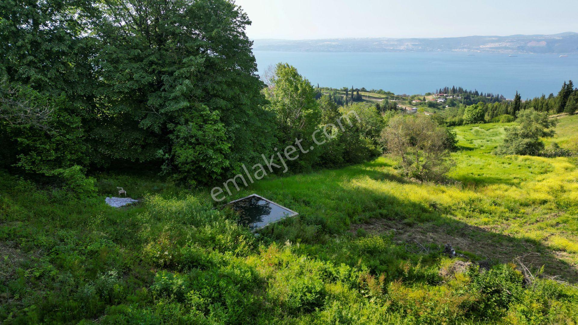 Uzmanlar'dan Kocaeli Karamürsel Karapınar'da Deniz Ve Doğa Manzaralı 27524 M2 Satılık Tarla - Görsel 21