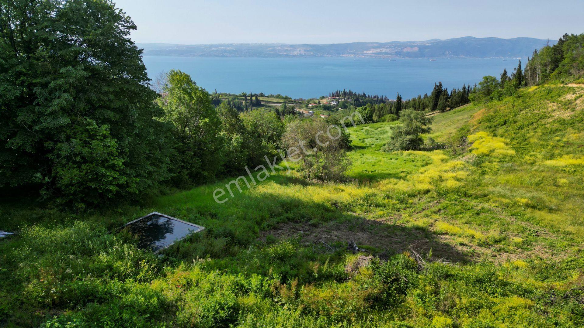 Uzmanlar'dan Kocaeli Karamürsel Karapınar'da Deniz Ve Doğa Manzaralı 27524 M2 Satılık Tarla - Görsel 20