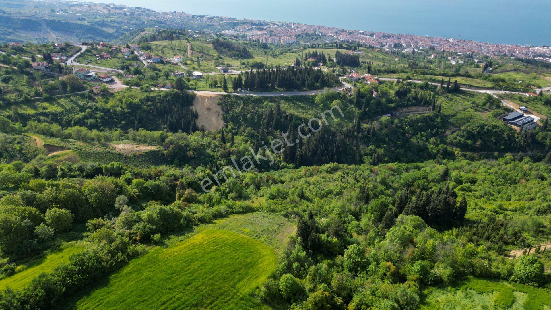 Uzmanlar'dan Kocaeli Karamürsel Karapınar'da Deniz Ve Doğa Manzaralı 27524 M2 Satılık Tarla - Görsel 13