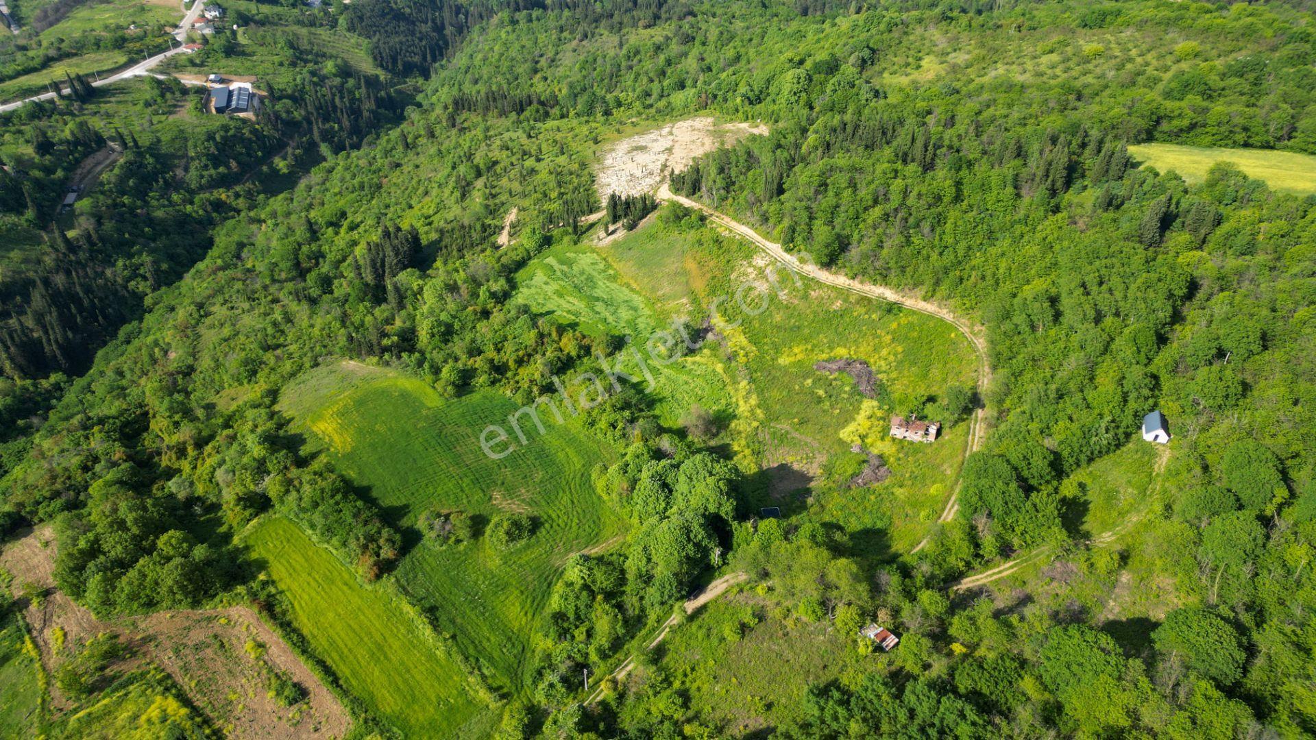 Uzmanlar'dan Kocaeli Karamürsel Karapınar'da Deniz Ve Doğa Manzaralı 27524 M2 Satılık Tarla - Görsel 11