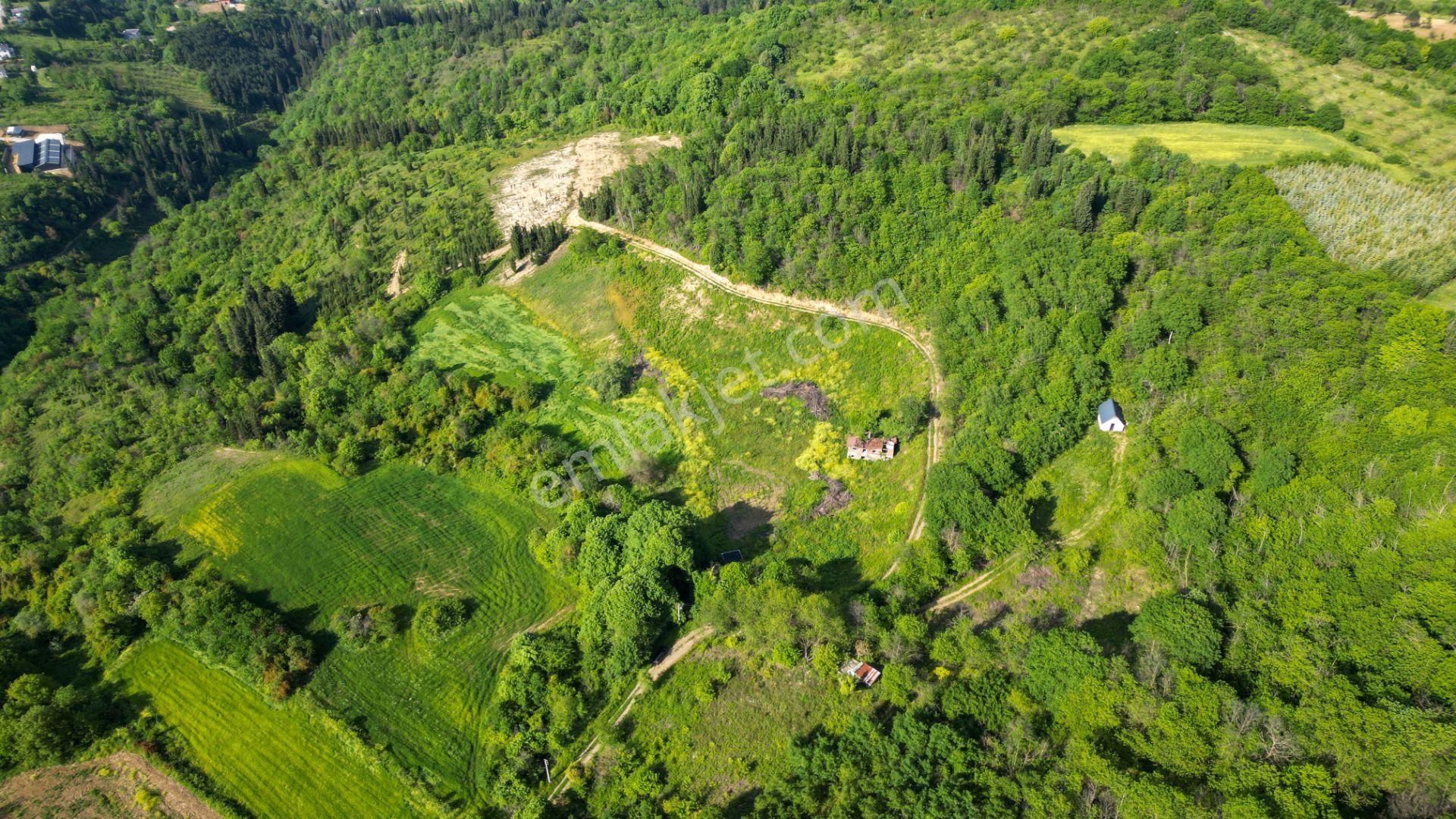 Uzmanlar'dan Kocaeli Karamürsel Karapınar'da Deniz Ve Doğa Manzaralı 27524 M2 Satılık Tarla - Görsel 12
