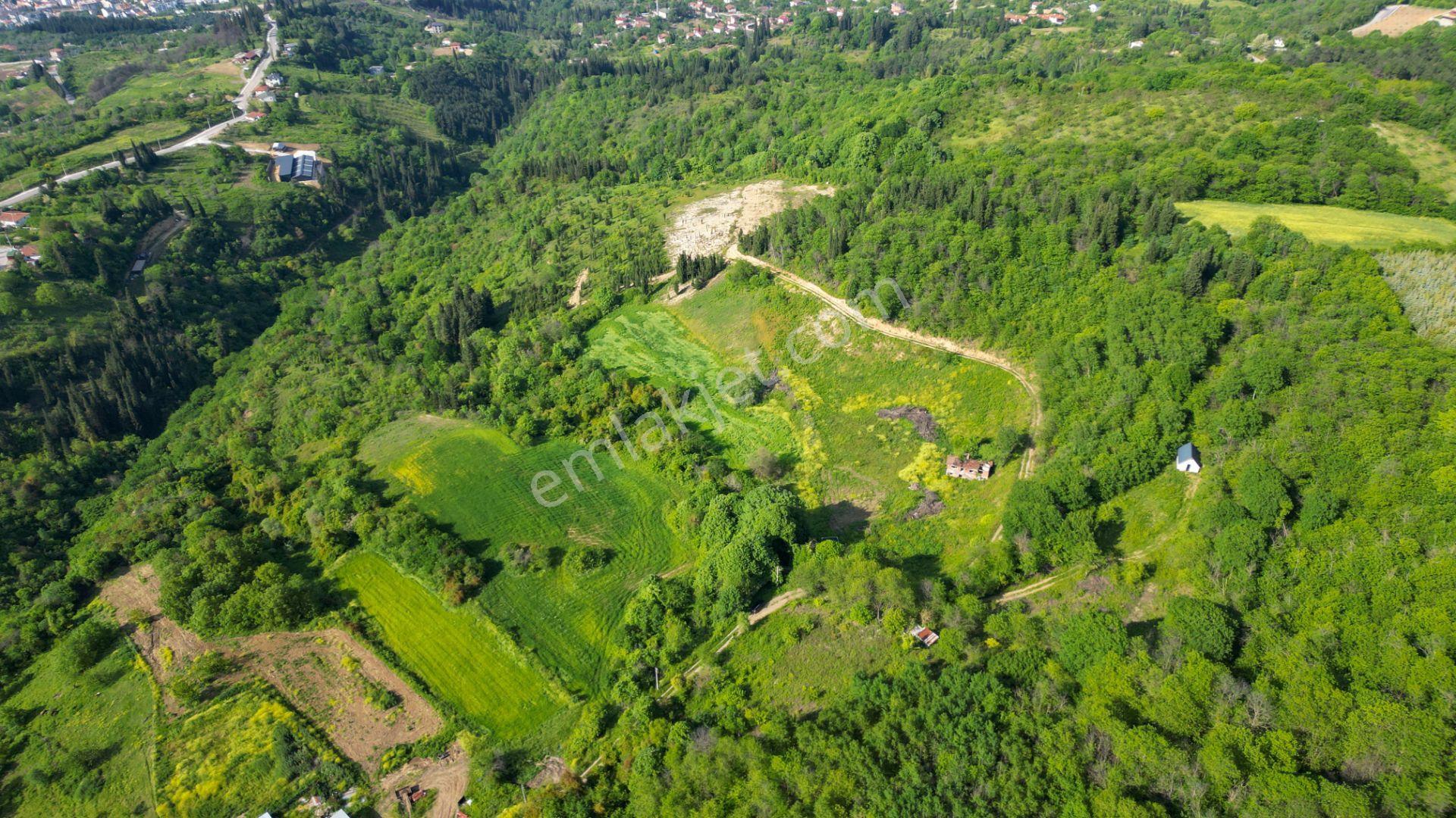 Uzmanlar'dan Kocaeli Karamürsel Karapınar'da Deniz Ve Doğa Manzaralı 27524 M2 Satılık Tarla - Görsel 9