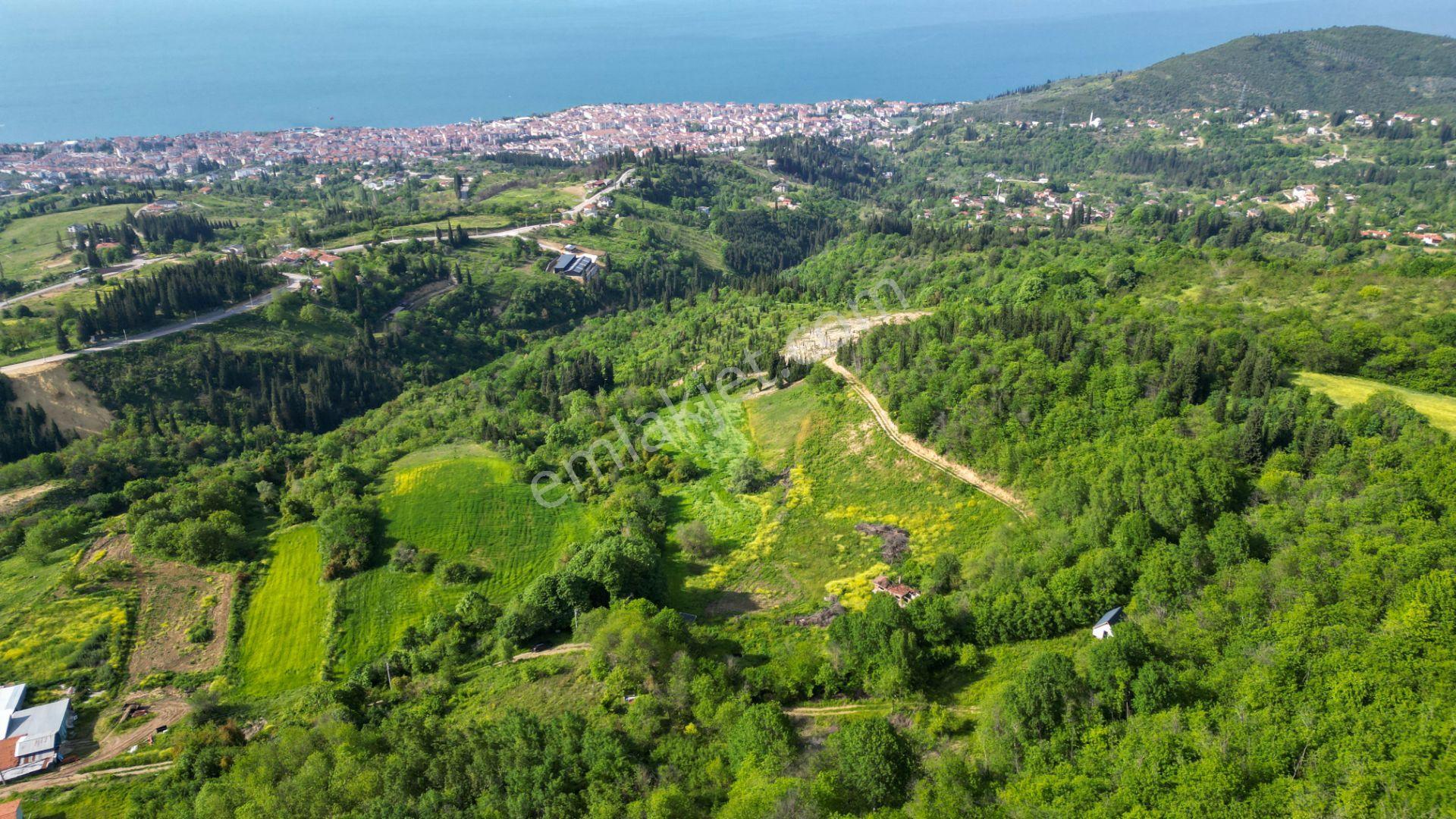 Uzmanlar'dan Kocaeli Karamürsel Karapınar'da Deniz Ve Doğa Manzaralı 27524 M2 Satılık Tarla - Görsel 5