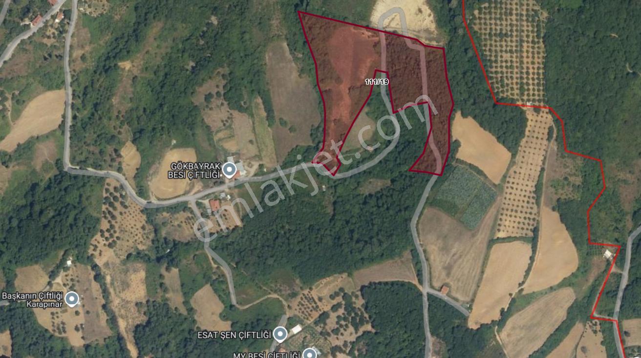Uzmanlar'dan Kocaeli Karamürsel Karapınar'da Deniz Ve Doğa Manzaralı 27524 M2 Satılık Tarla - Görsel 23