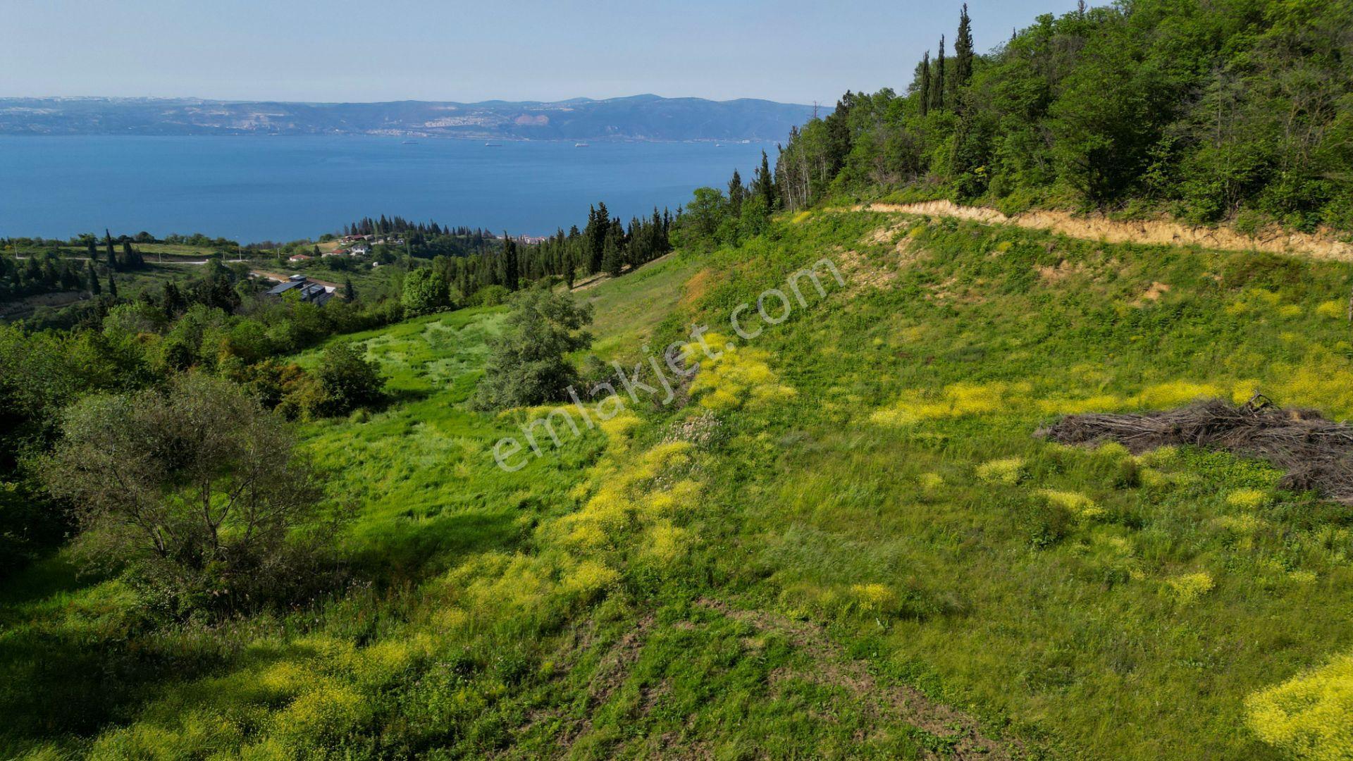Uzmanlar'dan Kocaeli Karamürsel Karapınar'da Deniz Ve Doğa Manzaralı 27524 M2 Satılık Tarla - Görsel 19