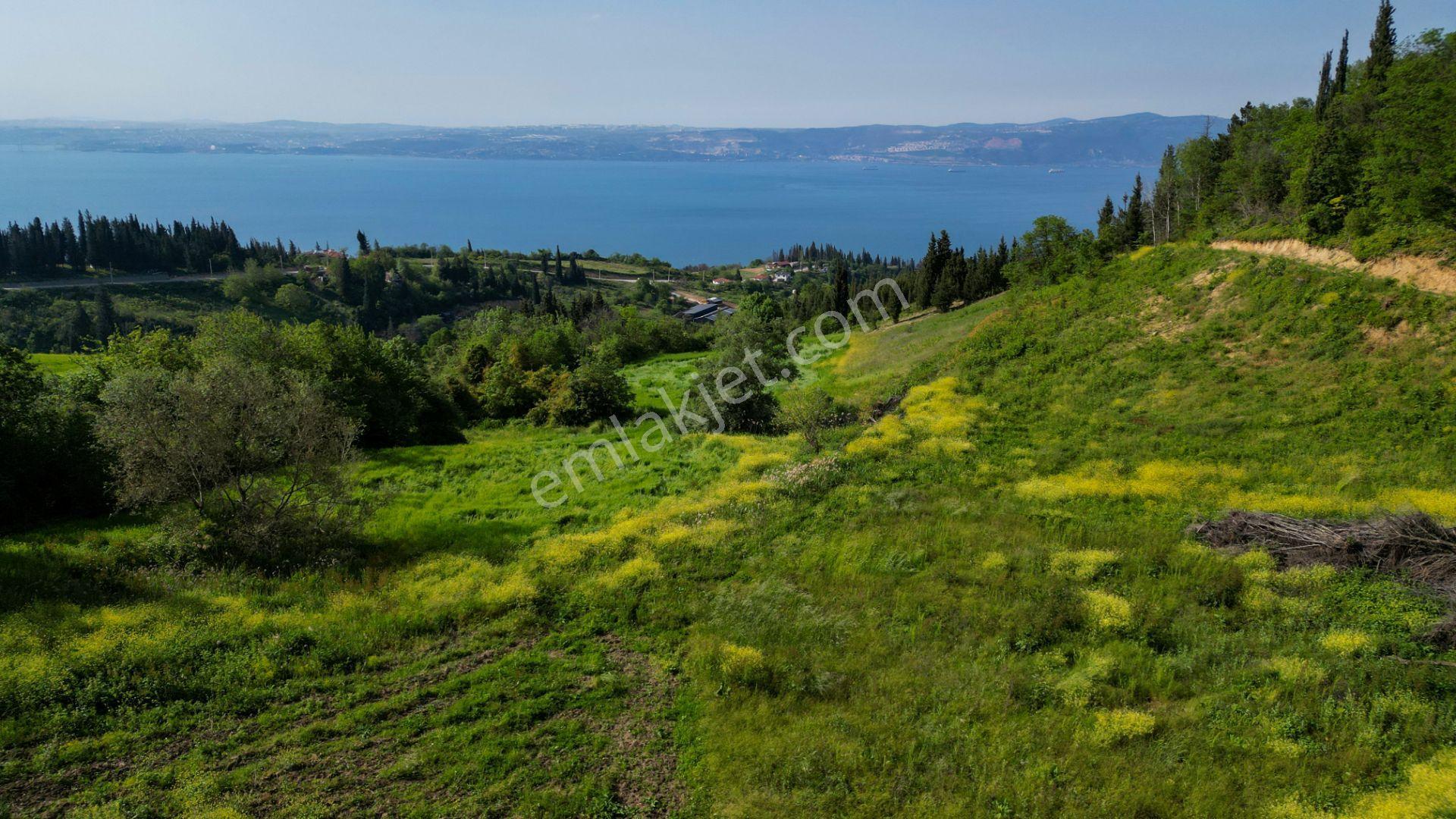 Uzmanlar'dan Kocaeli Karamürsel Karapınar'da Deniz Ve Doğa Manzaralı 27524 M2 Satılık Tarla - Görsel 18