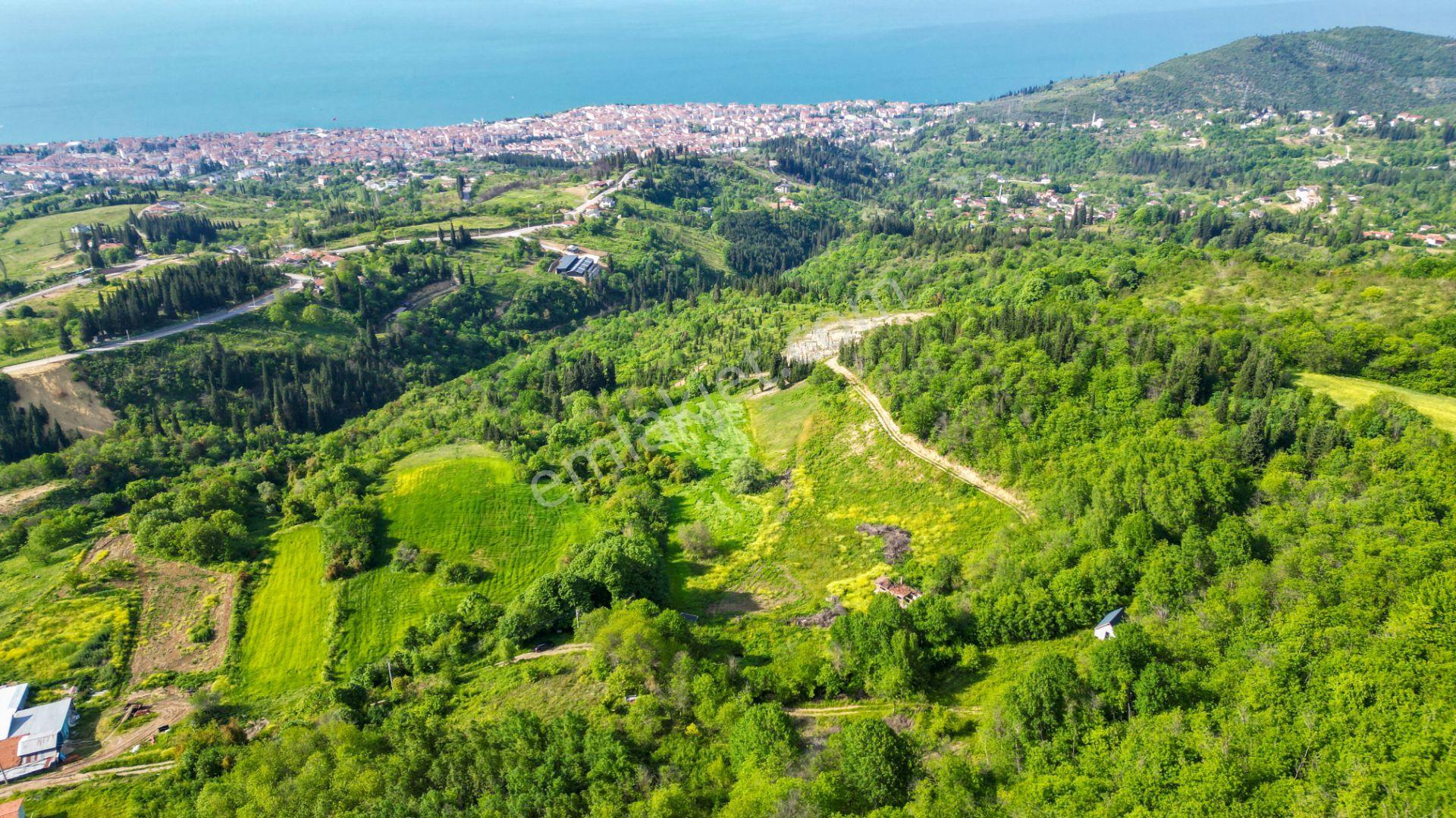 Uzmanlar'dan Kocaeli Karamürsel Karapınar'da Deniz Ve Doğa Manzaralı 27524 M2 Satılık Tarla - Görsel 4