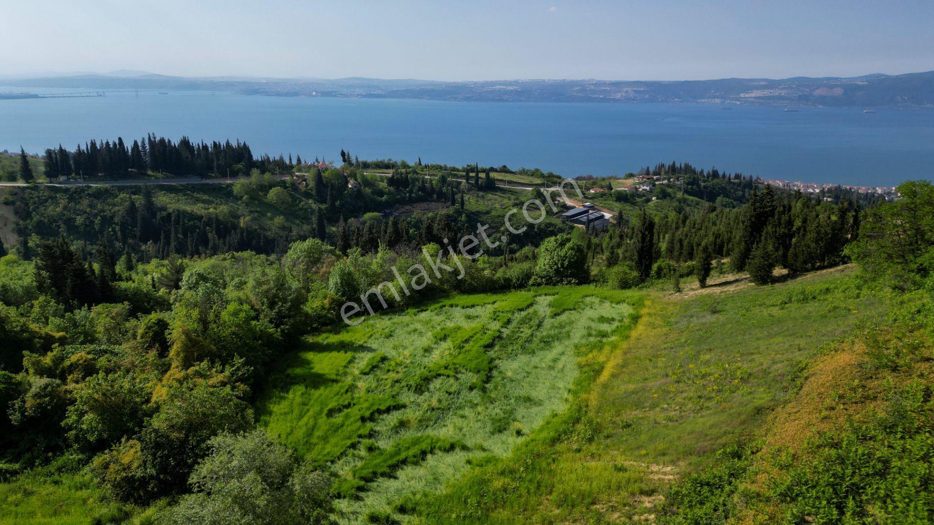 Uzmanlar'dan Kocaeli Karamürsel Karapınar'da Deniz Ve Doğa Manzaralı 27524 M2 Satılık Tarla - Görsel 14