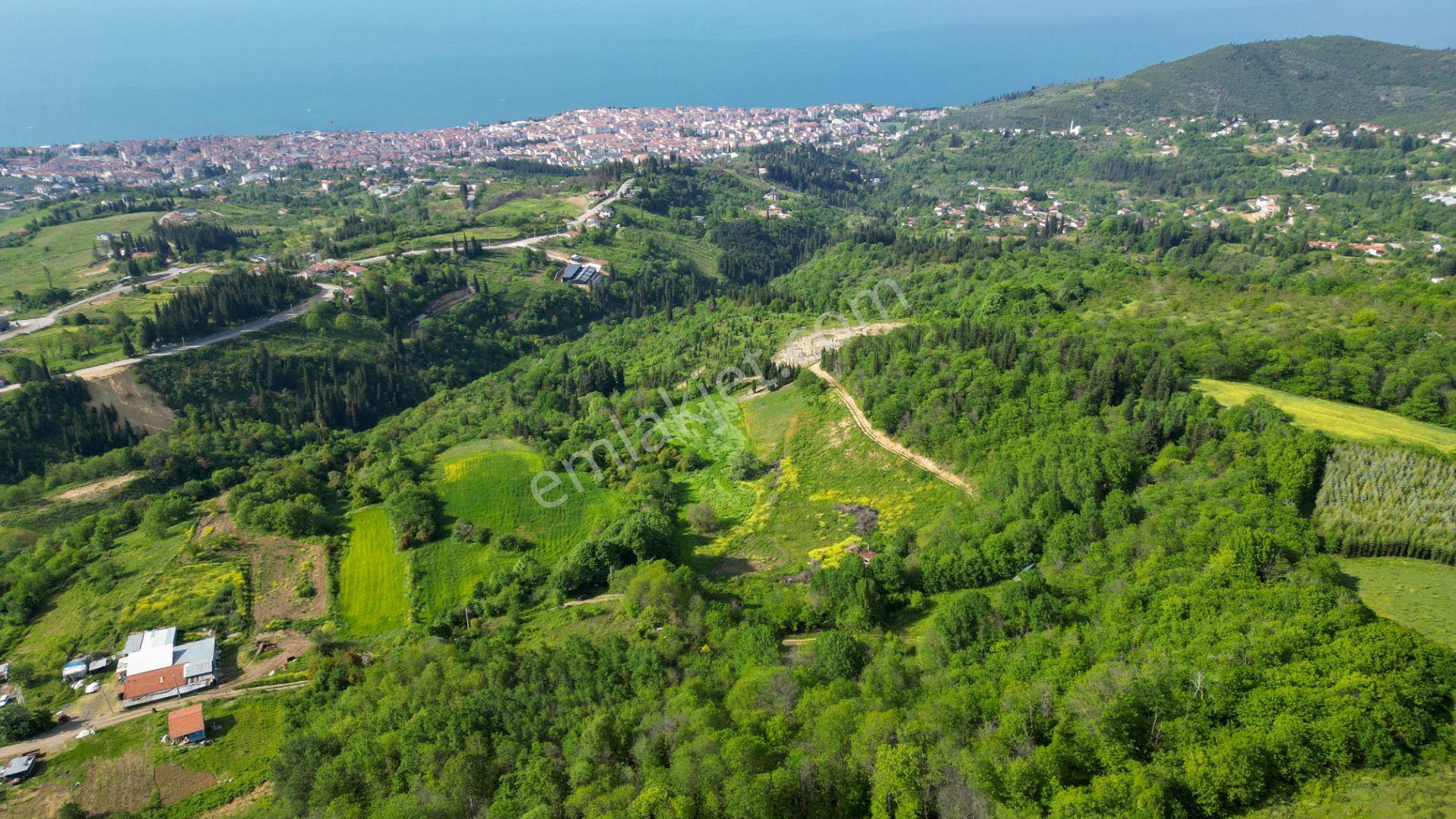 Uzmanlar'dan Kocaeli Karamürsel Karapınar'da Deniz Ve Doğa Manzaralı 27524 M2 Satılık Tarla