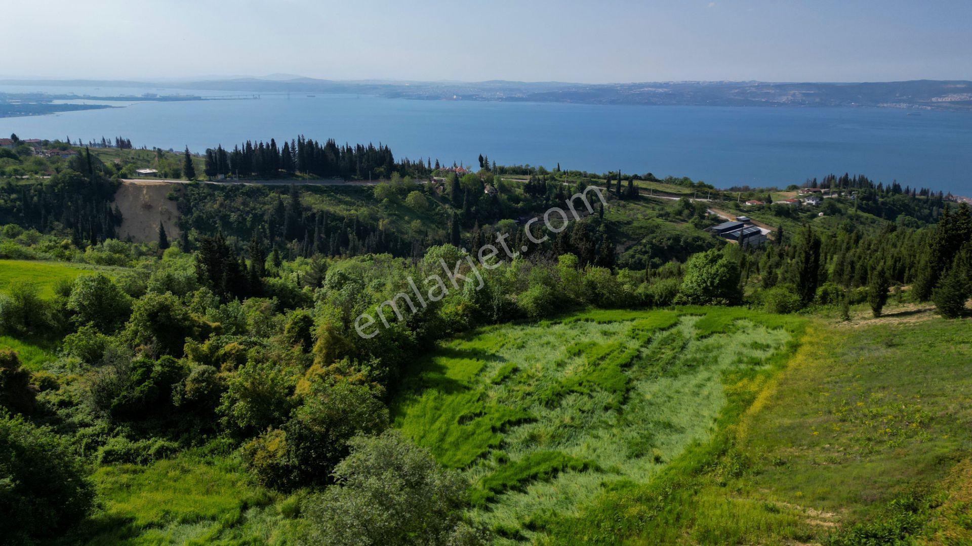 Uzmanlar'dan Kocaeli Karamürsel Karapınar'da Deniz Ve Doğa Manzaralı 27524 M2 Satılık Tarla - Görsel 15
