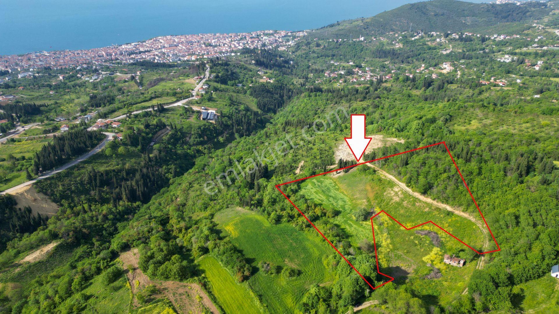 Uzmanlar'dan Kocaeli Karamürsel Karapınar'da Deniz Ve Doğa Manzaralı 27524 M2 Satılık Tarla - Görsel 2