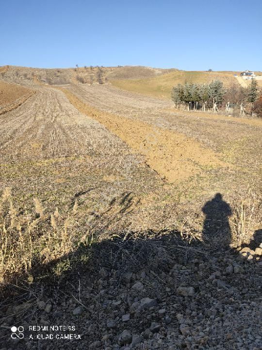 Ayaş Gökçebağ Satılık Tarla Emsalsiz Tek Tapu Yatırıma Uygun Kaçırılmaz Bir Yer