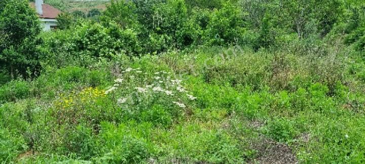 Balıkesir Erdek Ballıpınar'da Satılık Yatırıma Uygun Bahçe - Görsel 4