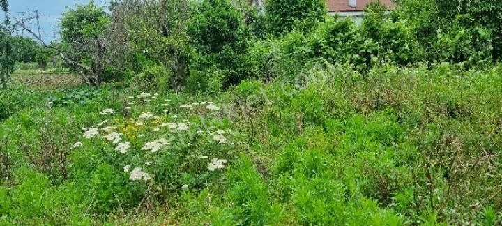 Balıkesir Erdek Ballıpınar'da Satılık Yatırıma Uygun Bahçe