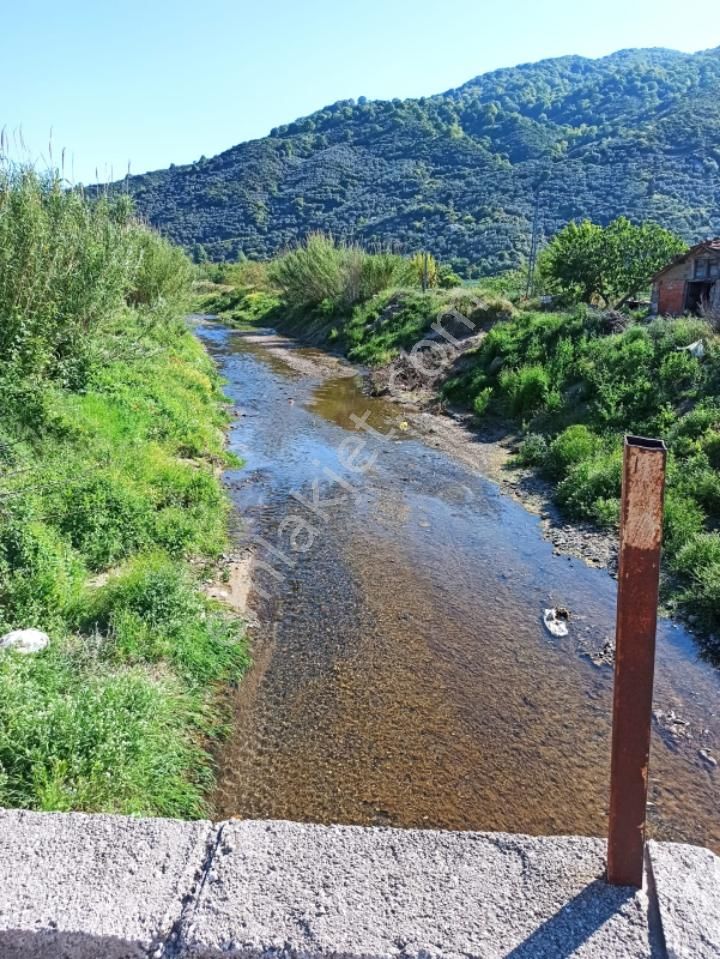 Balıkesir Erdek Ballıpınar'da Satılık Yatırıma Uygun Bahçe - Görsel 7