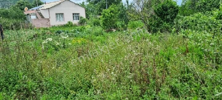 Balıkesir Erdek Ballıpınar'da Satılık Yatırıma Uygun Bahçe - Görsel 3