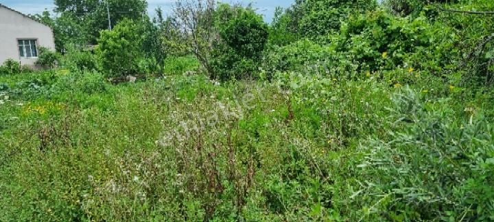 Balıkesir Erdek Ballıpınar'da Satılık Yatırıma Uygun Bahçe - Görsel 2