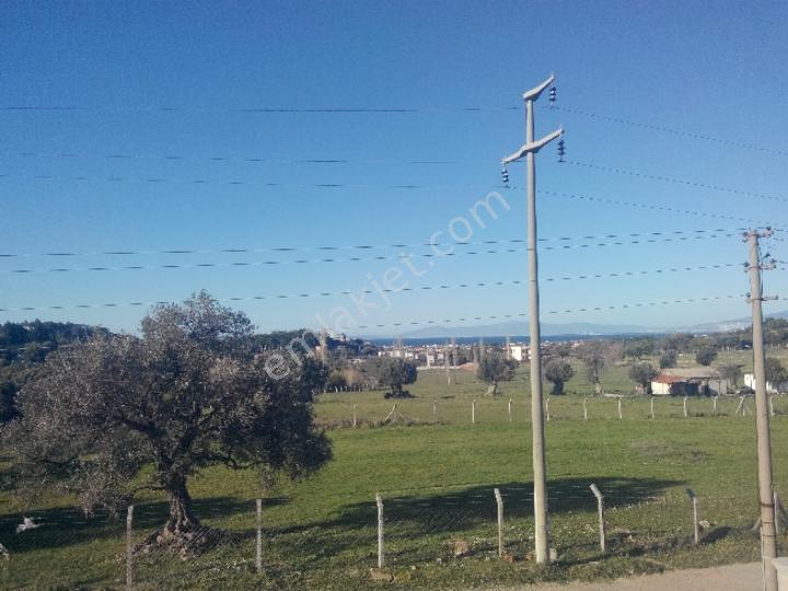 Satılık Arsa Urla Şirınkentte Tek Parsel 339 Mt2 - Görsel 5