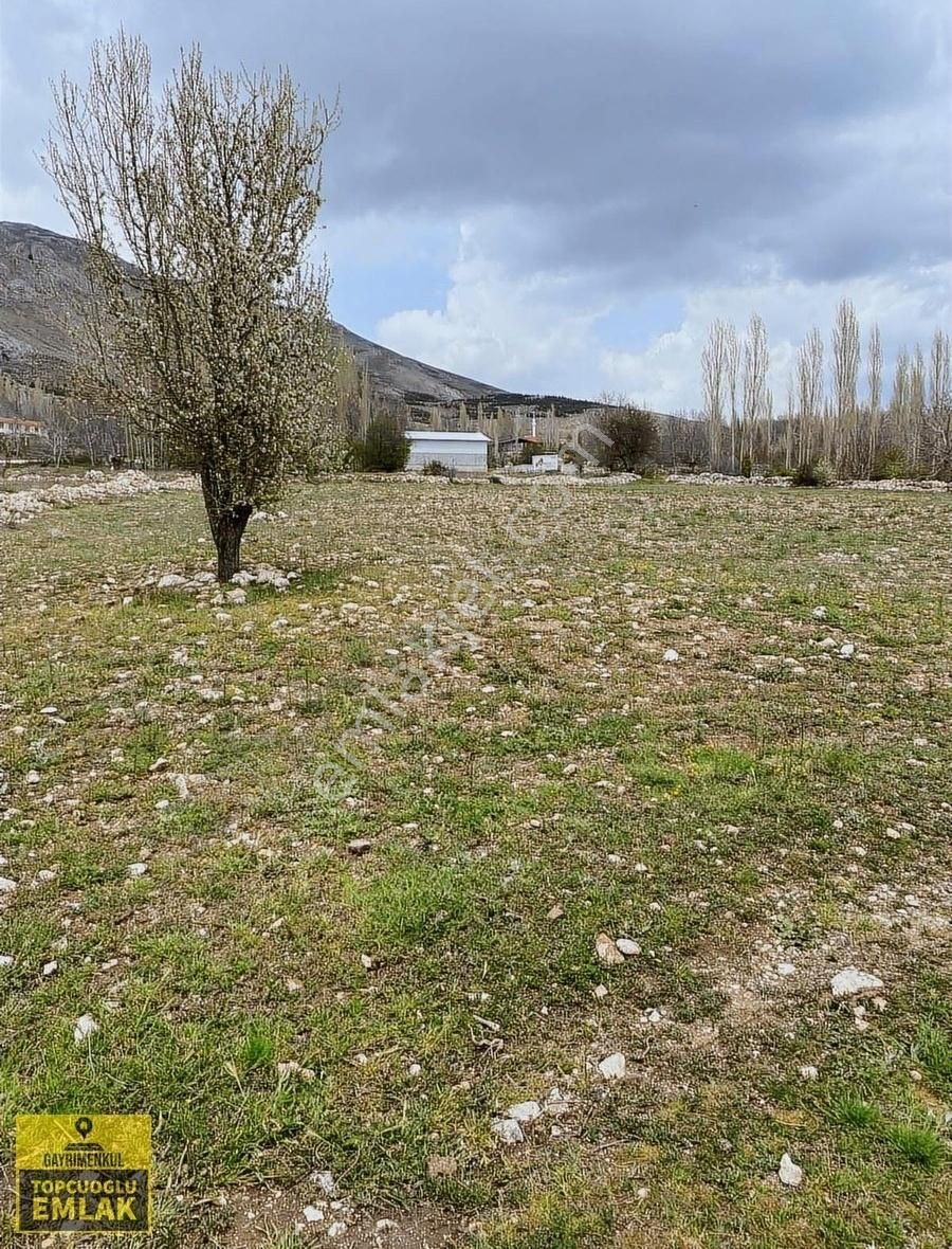 Antalya Korkuteli Osmankalfalarda.yerleşim İçinde.12.dönüm - Görsel 3