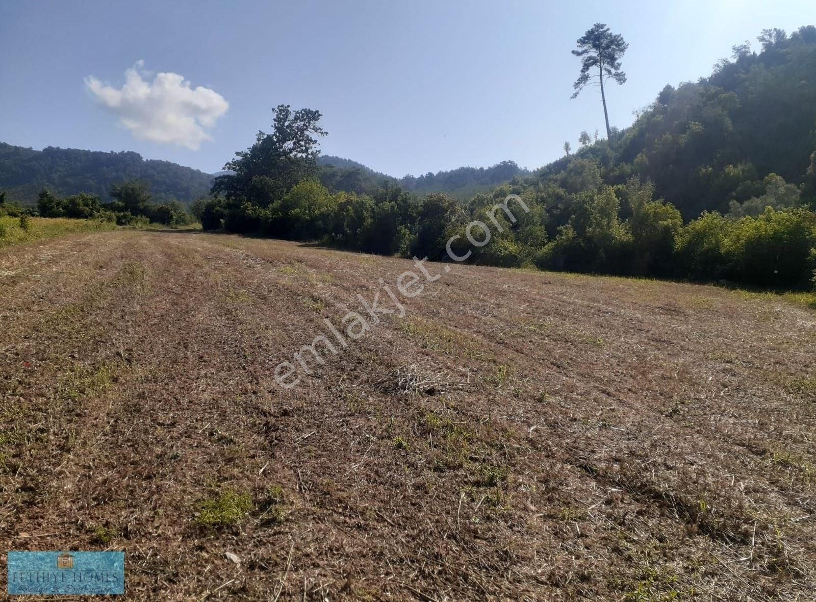 Fethiye Koruköy Satılık Tarla Muğla Fethiye Sahil Koru'da Satılık Tarla