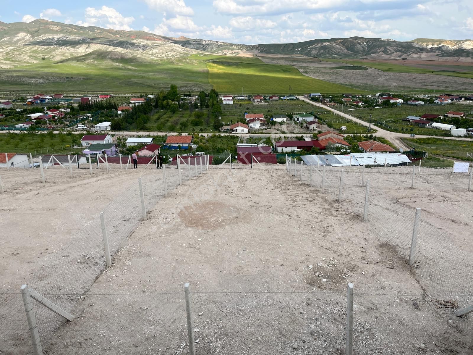 rueyada yeil fasulye goermek diyadinnet rus sekis