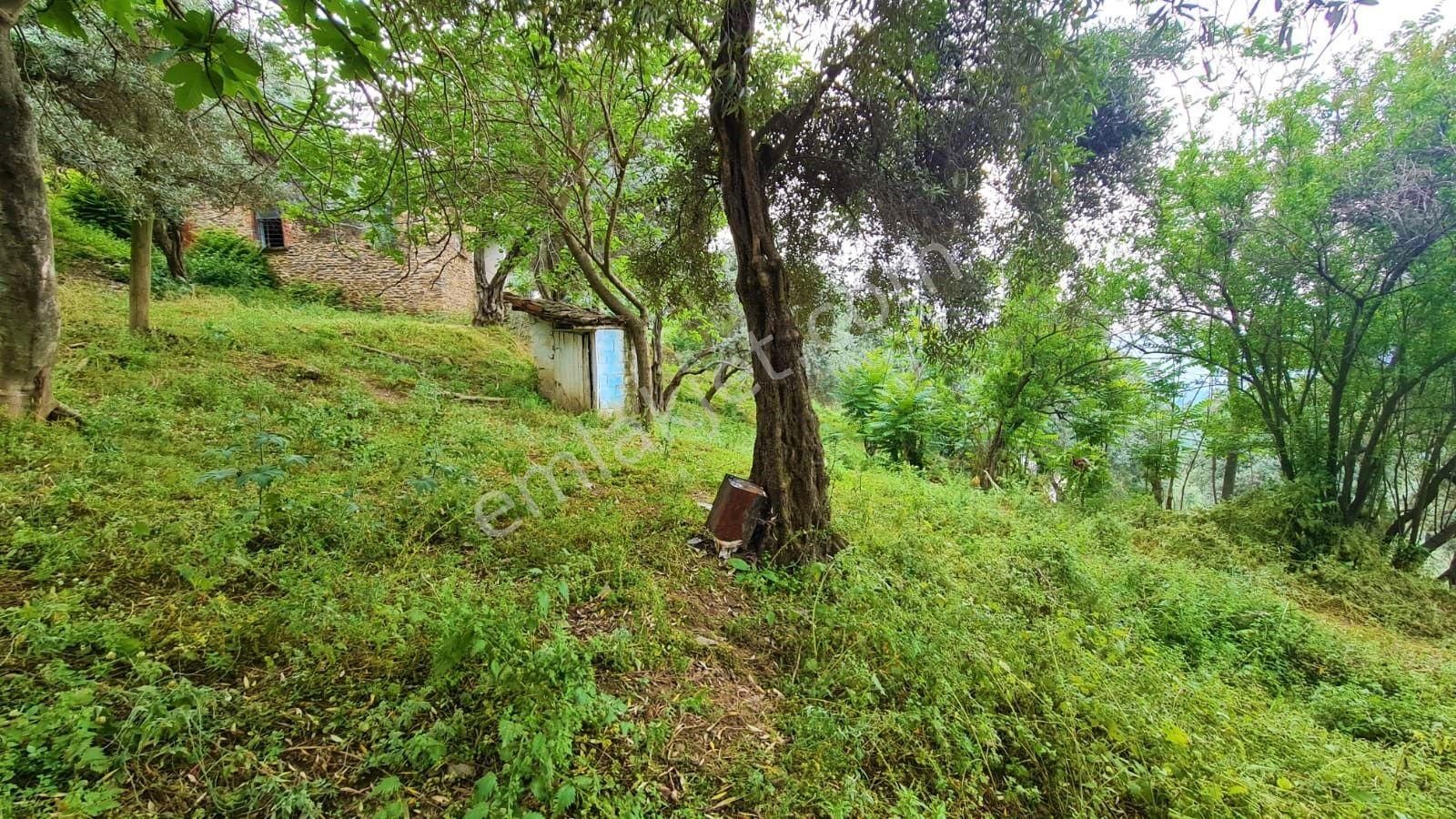 Muhteşem Manzaralı Satılık Müstakil Evli Arsa - Görsel 9