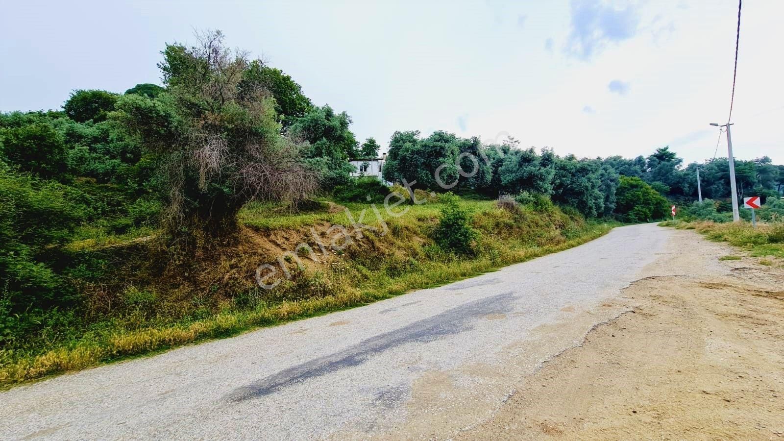 Muhteşem Manzaralı Satılık Müstakil Evli Arsa - Görsel 10