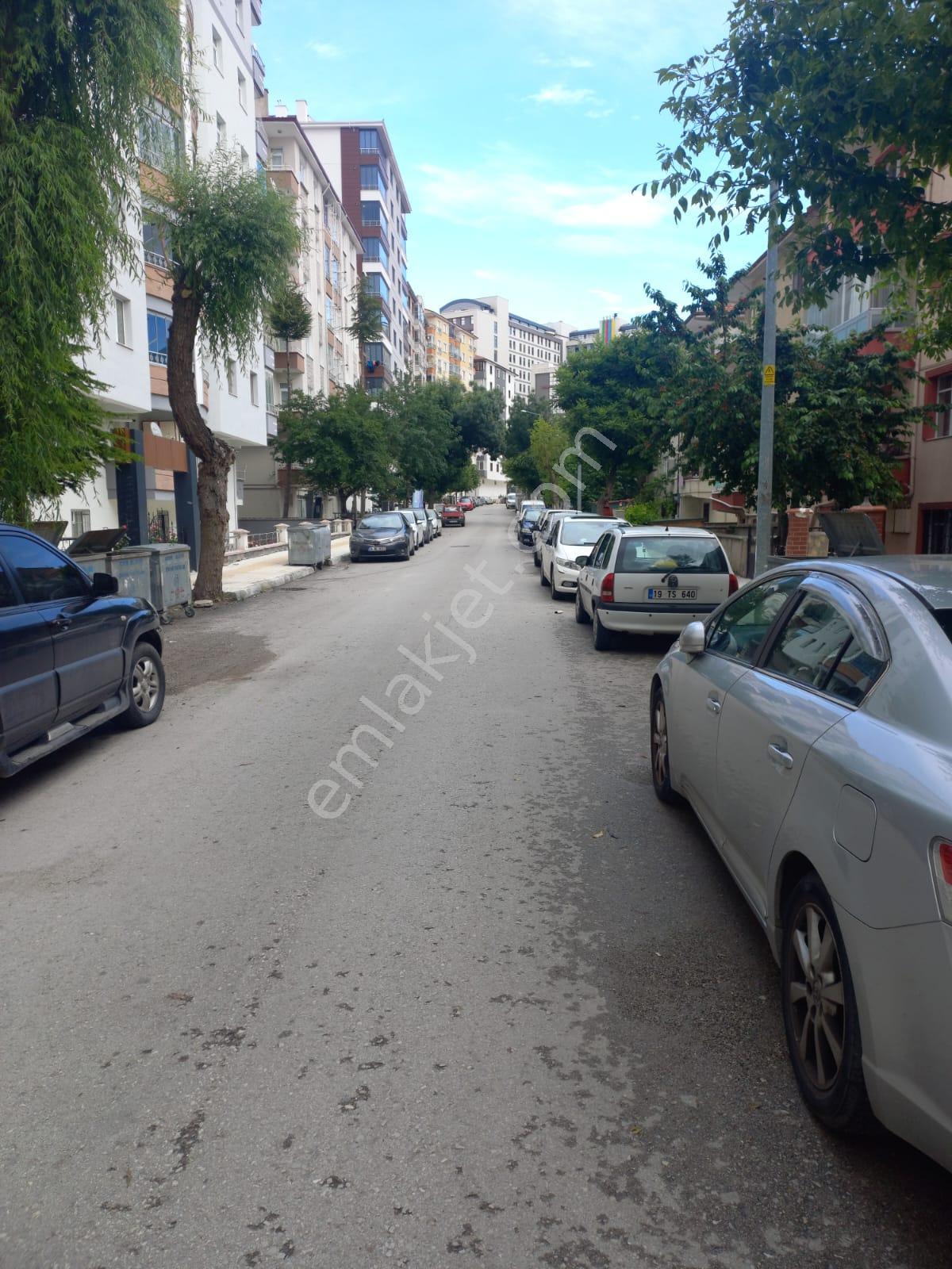 Çorum Pehlivan Emlaktan Carfur Civarı Temiz Bakımlı 3+1 Kiralık Daire - Görsel 2