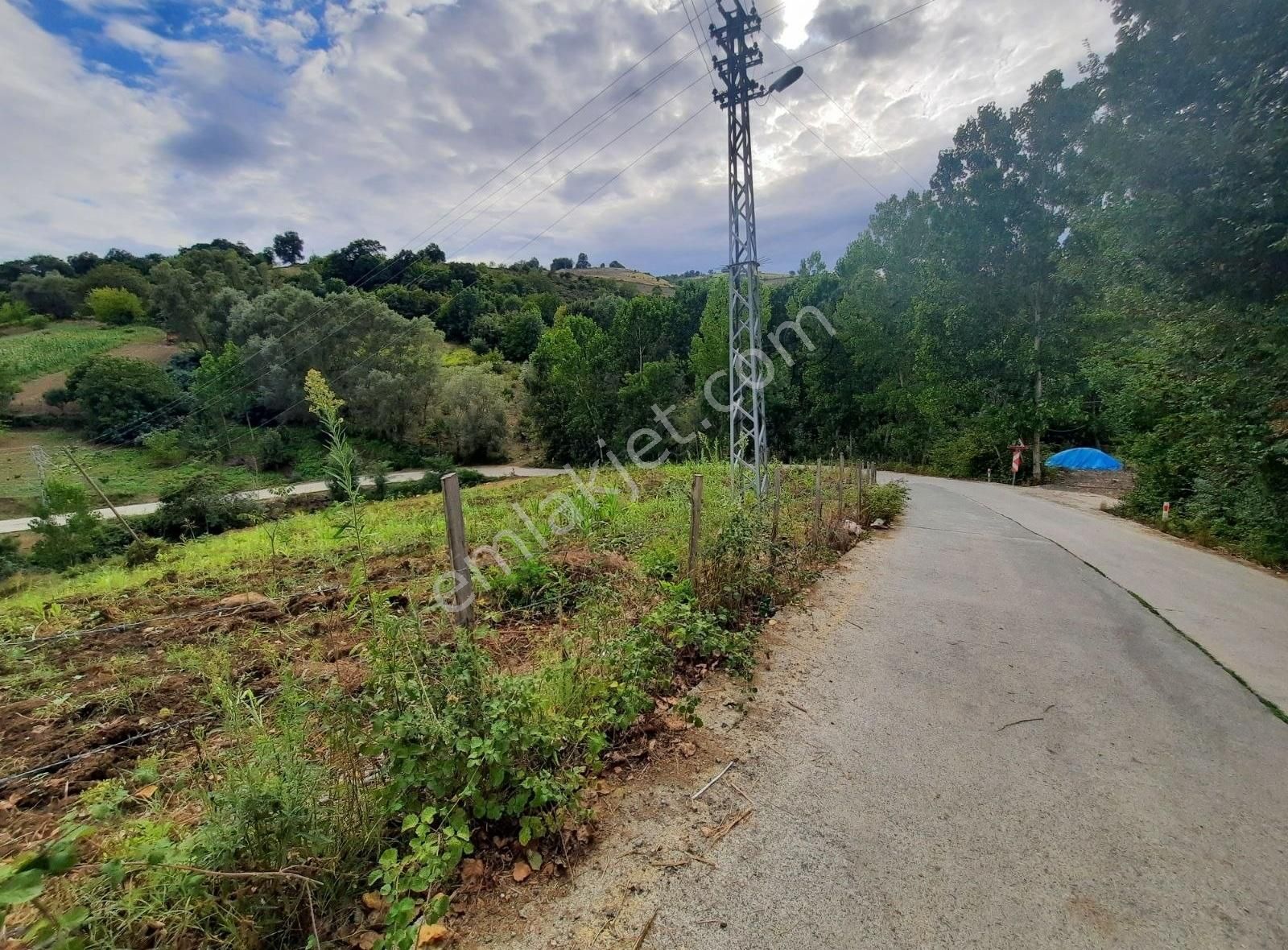 İlkadım Yeşiltepe Satılık Tarla İLKADIM / ÇORAK ARAŞTIRMA YAKINI 2640M² YOLA CEPHE SATILIK TARLA