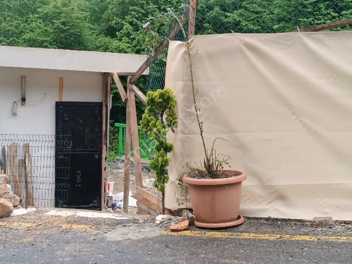 Müstakil Dağ Evi - Görsel 4