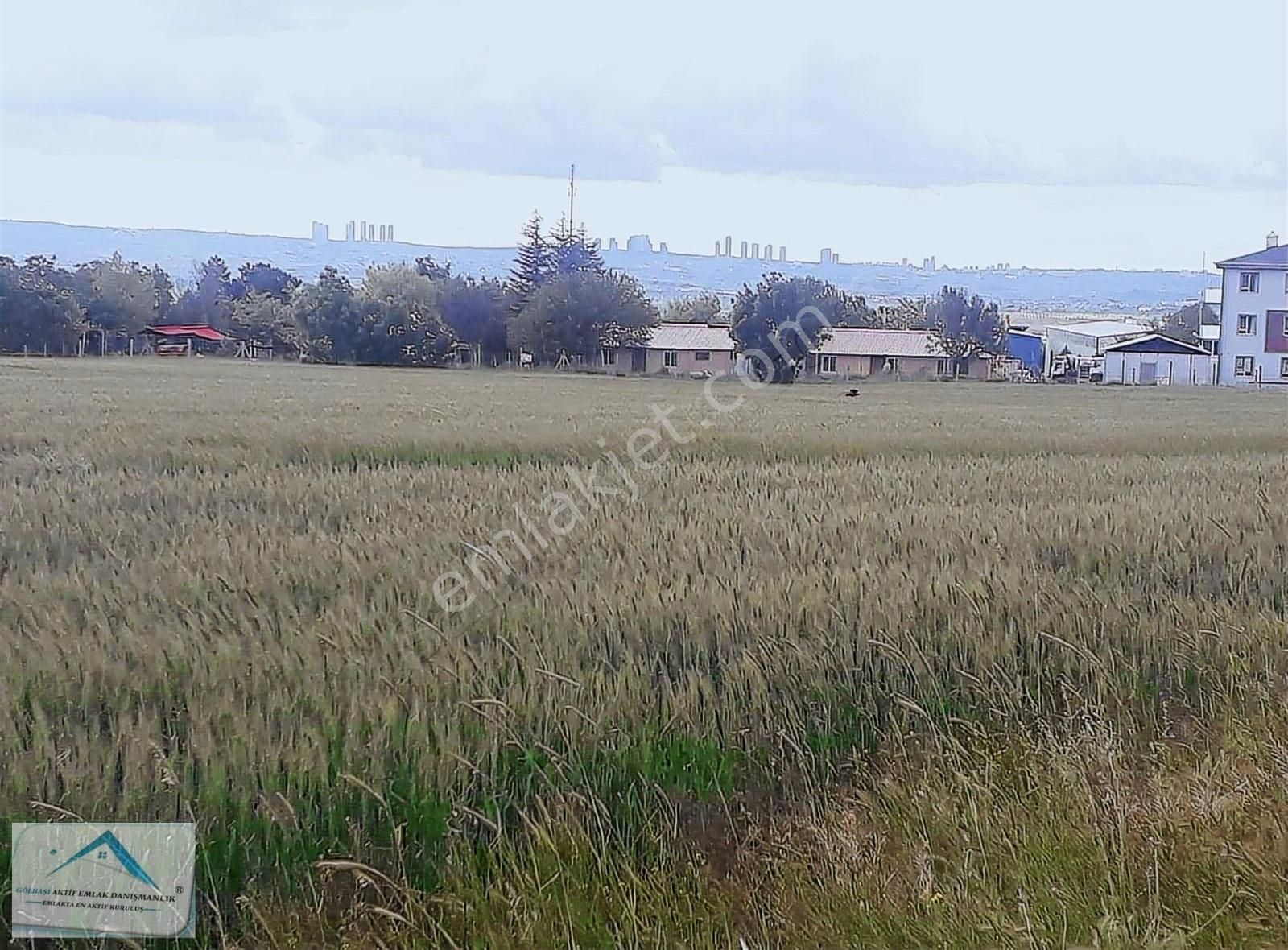 Gölbaşı Oğulbey Satılık Depo, Antrepo İzinli Gölbaşı Oğulbey Mahallesinde Satılık Depolama Alanı 5000+5000 M2