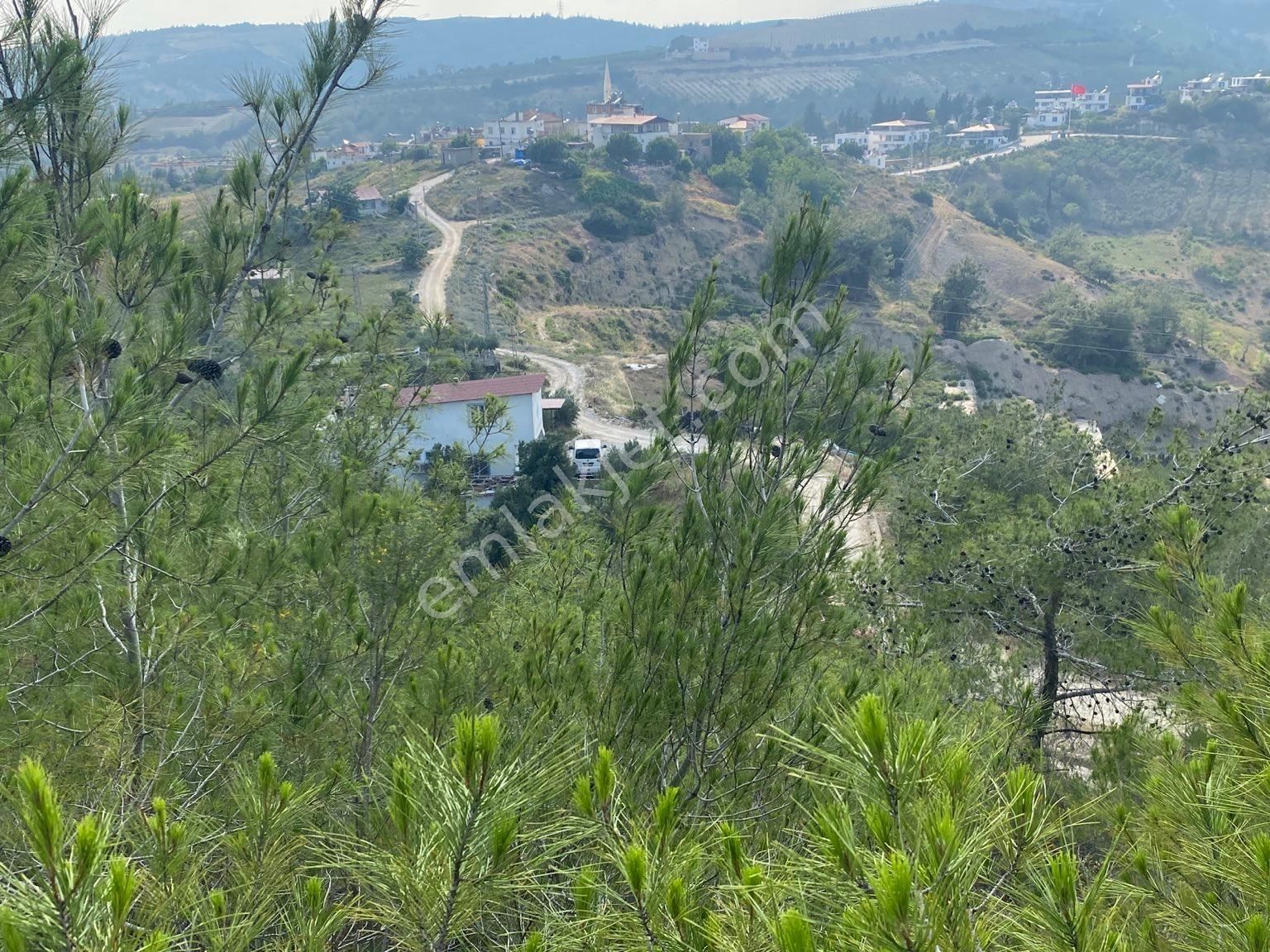 İhsaniye Köyü Zirve Konumda Satılık Müstakil Arsa Tek Tapu - Görsel 22