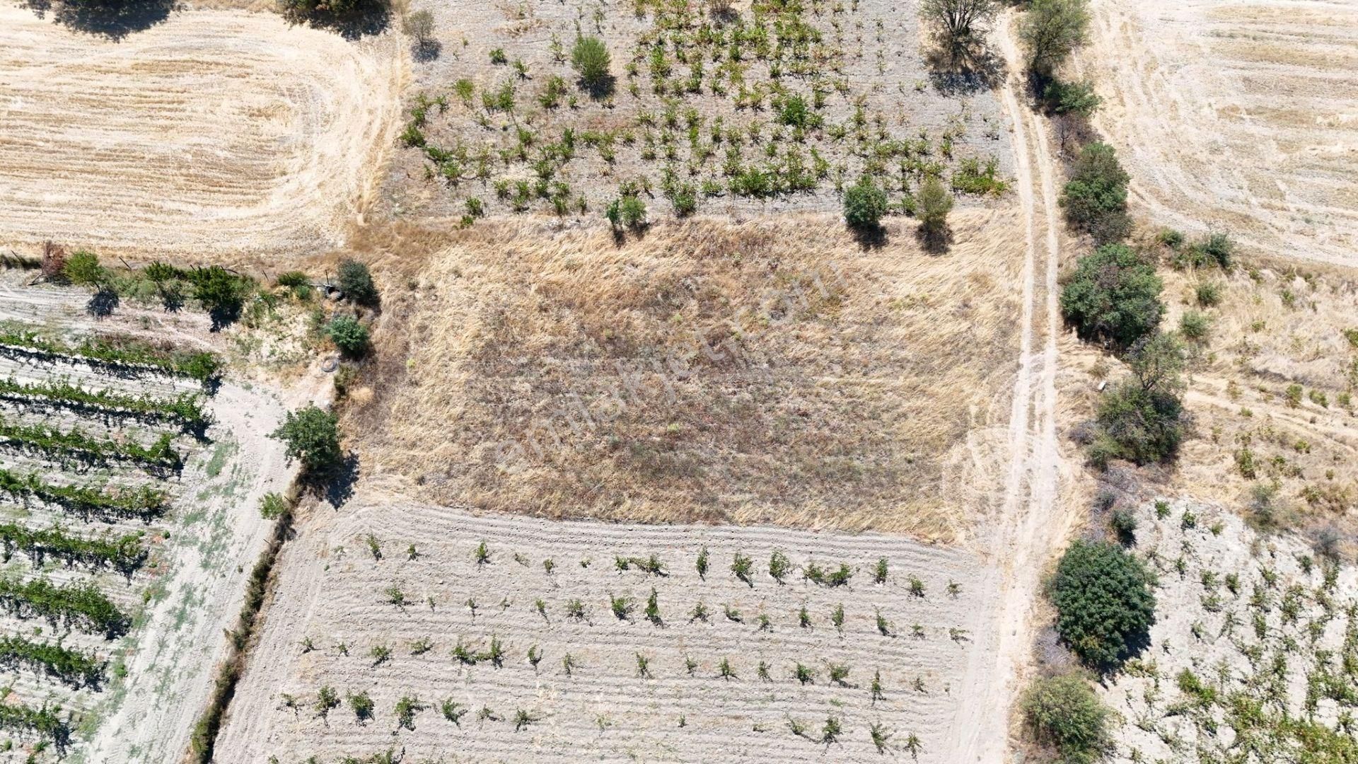 Turhal Kat Köyü (Çalılık) Satılık Tarla VADİ GAYRİMENKUL' DEN KAT KASABASINDA 1375 M² SATILIK TARLA