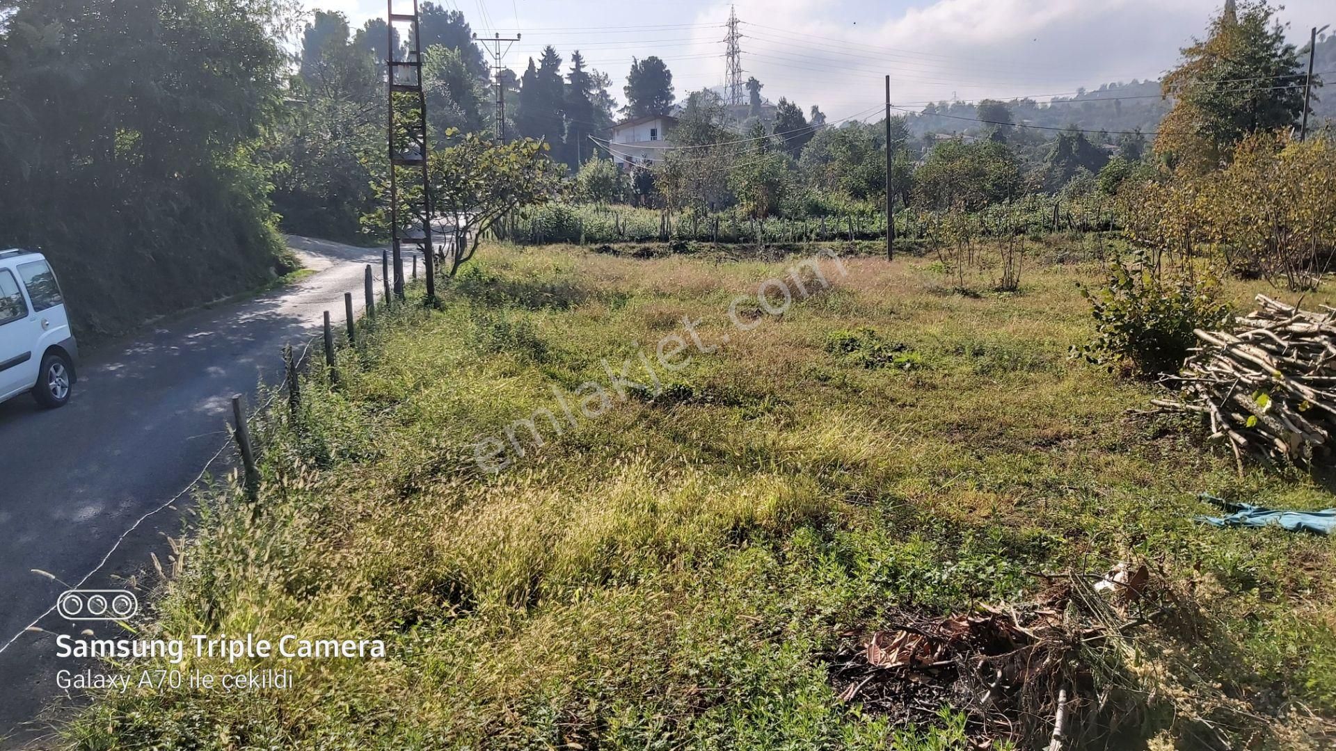 Bulancak Küçüklü Köyü (Üst) Satılık Konut İmarlı  DENİZ MANZARALI YATIRIMLIK DÜZ BAHÇE 