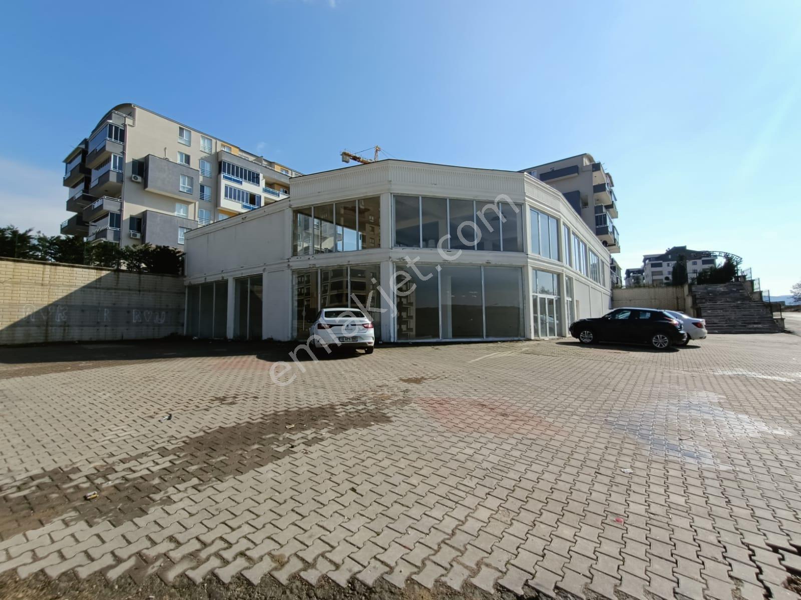 Hasanağa Da 420 M2 600 M2 Bahçeli Satılık Dükkan-mağaza - Görsel 4