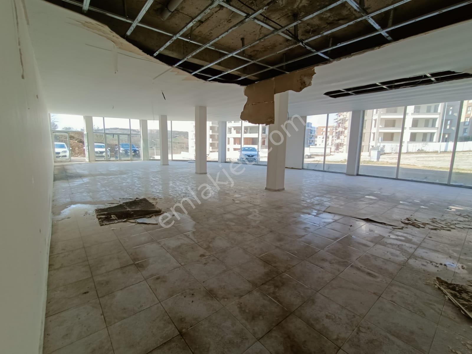 Hasanağa Da 420 M2 600 M2 Bahçeli Satılık Dükkan-mağaza - Görsel 20