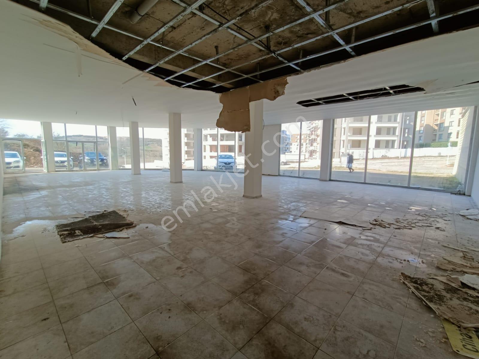 Hasanağa Da 420 M2 600 M2 Bahçeli Satılık Dükkan-mağaza - Görsel 21