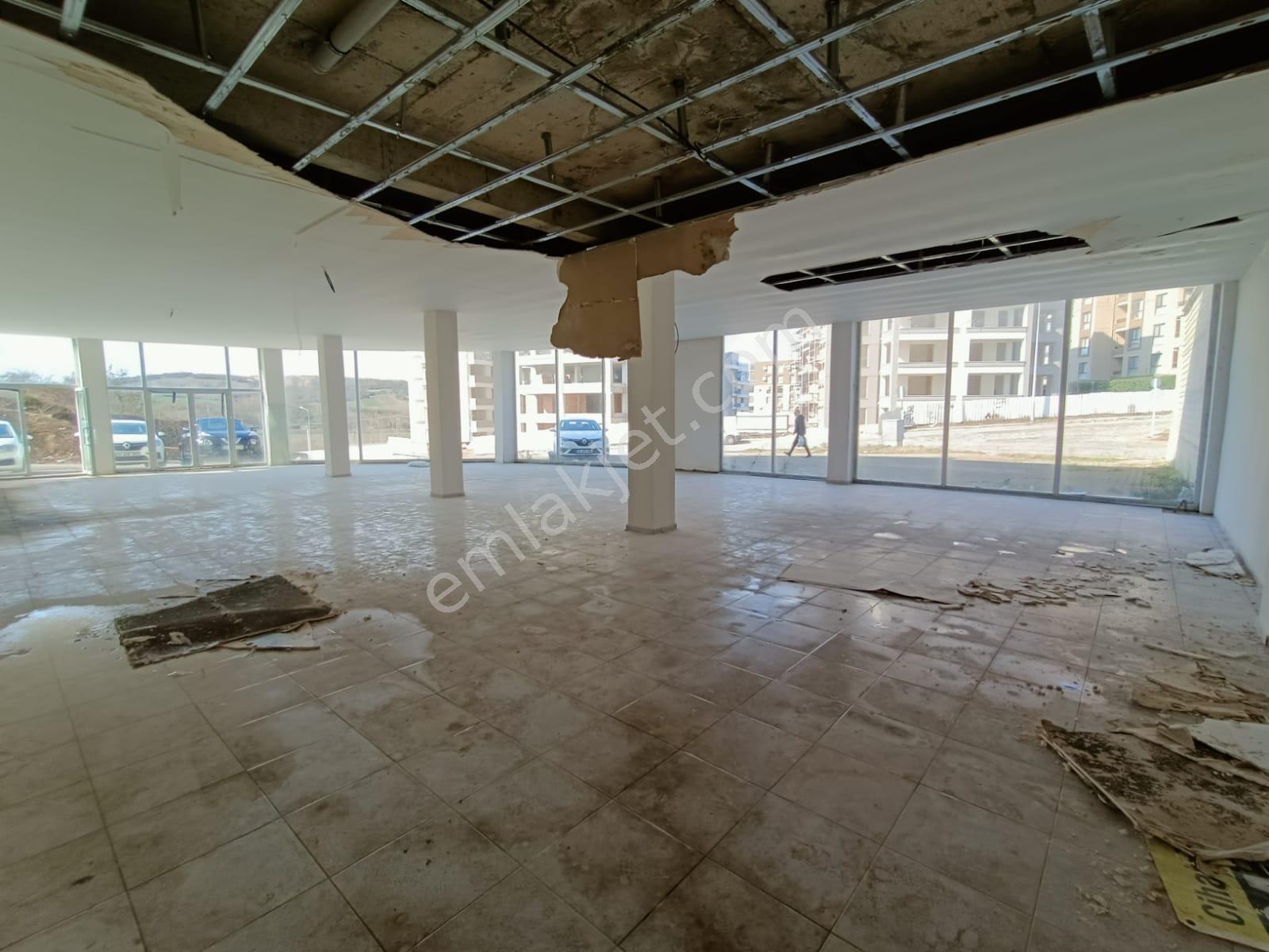 Hasanağa Da 420 M2 600 M2 Bahçeli Satılık Dükkan-mağaza - Görsel 22