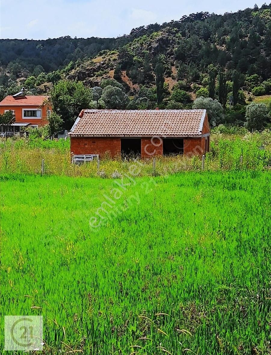 Odunpazarı Kargın Satılık Tarla CENTURY21 VİZYON'DAN ODUNPAZARI KARGIN KÖYÜNDE TARLA İÇİNDE EV