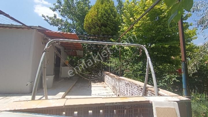 Manisa Şehzadeler Karaoglanlı Mh De Satilik Zeytinlik - Görsel 8
