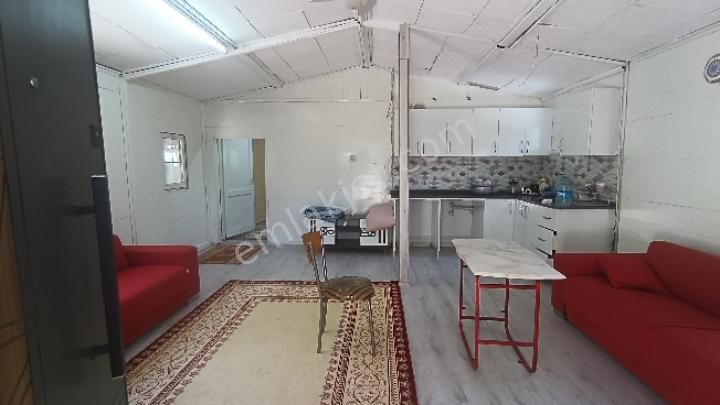 Manisa Şehzadeler Karaoglanlı Mh De Satilik Zeytinlik - Görsel 11