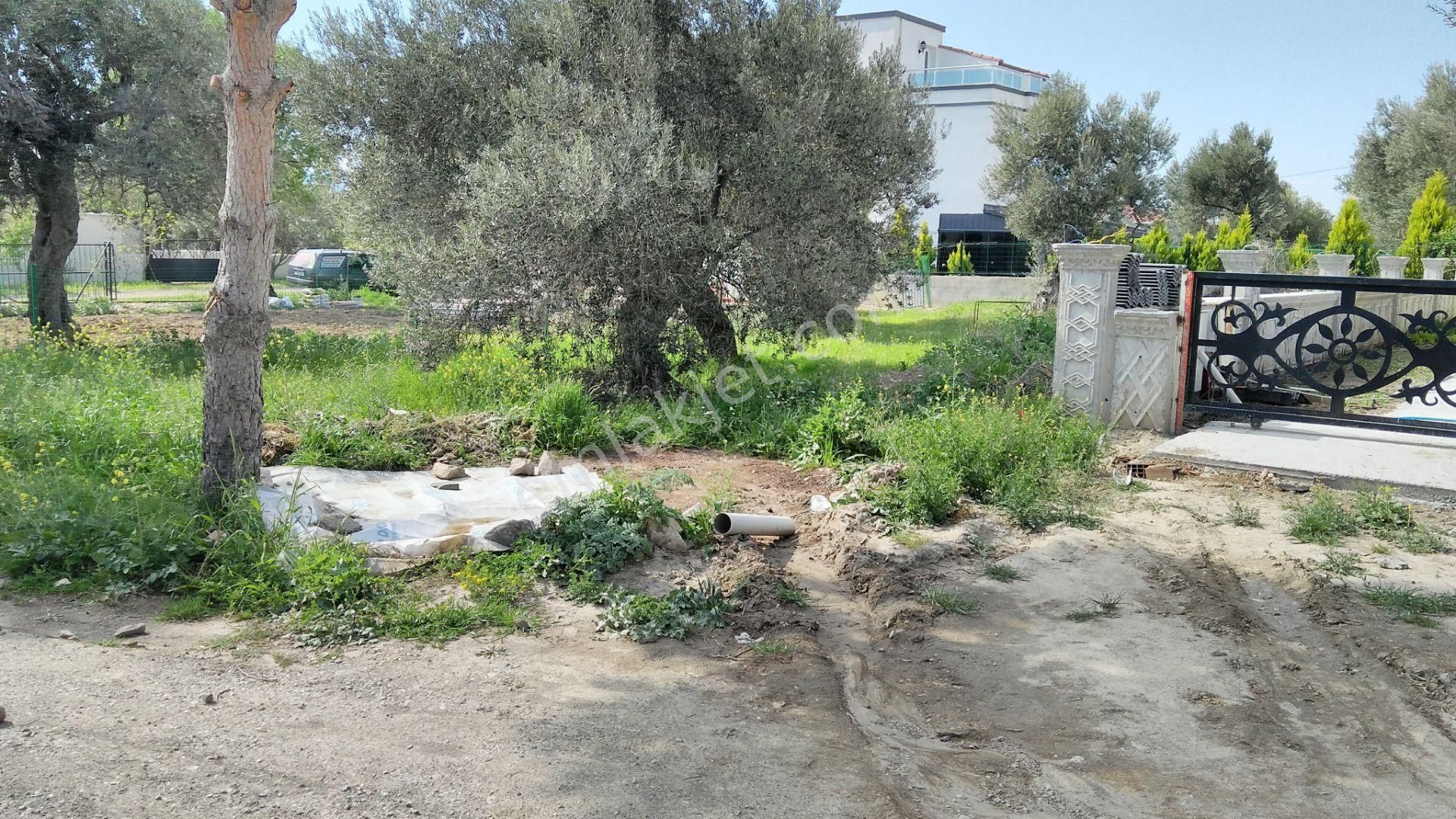 Villa İmarlı Arsa - Görsel 3