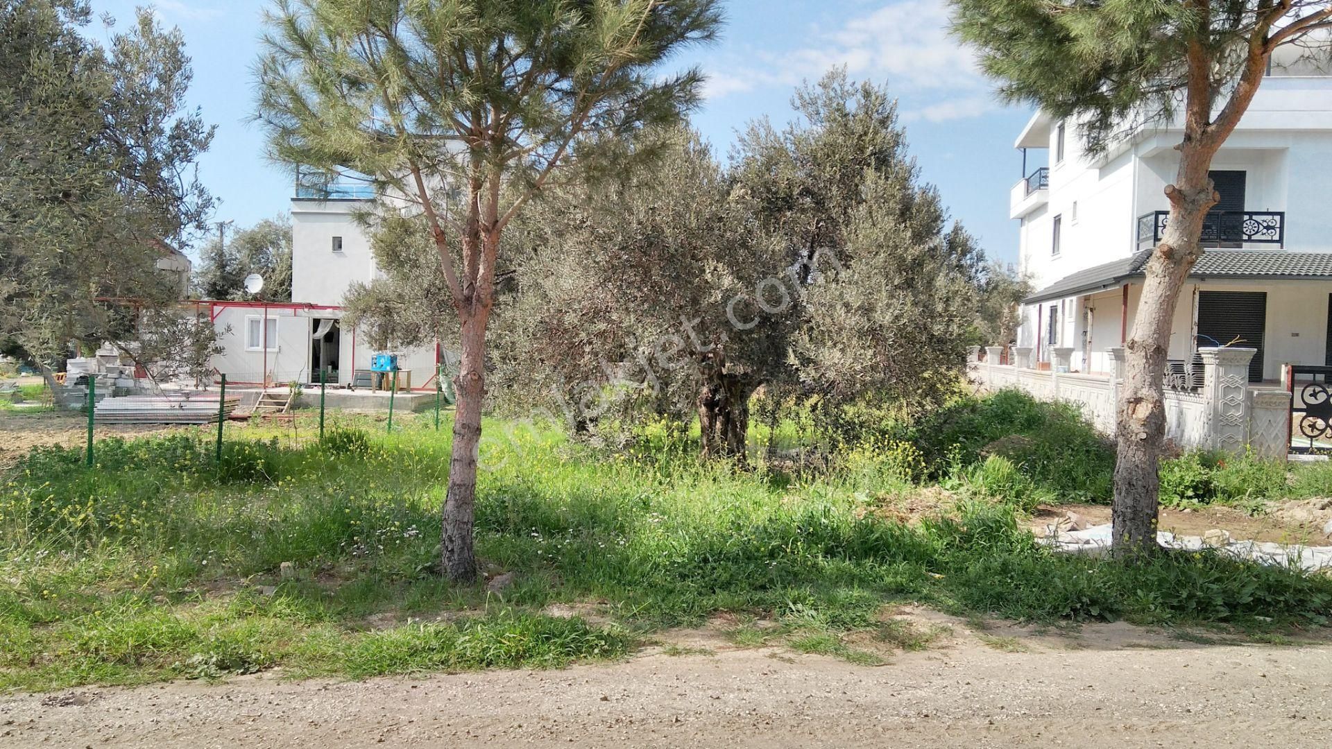 Villa İmarlı Arsa - Görsel 4