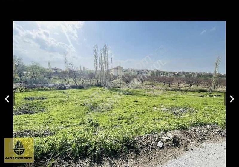 süt sağan anneler kadınlar kulübü anal love
