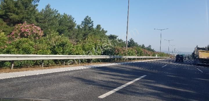 Selçuk Zafer Satılık Bağ & Bahçe Selçuk İzmir Anayoluna Cephe Hazır Bahçe