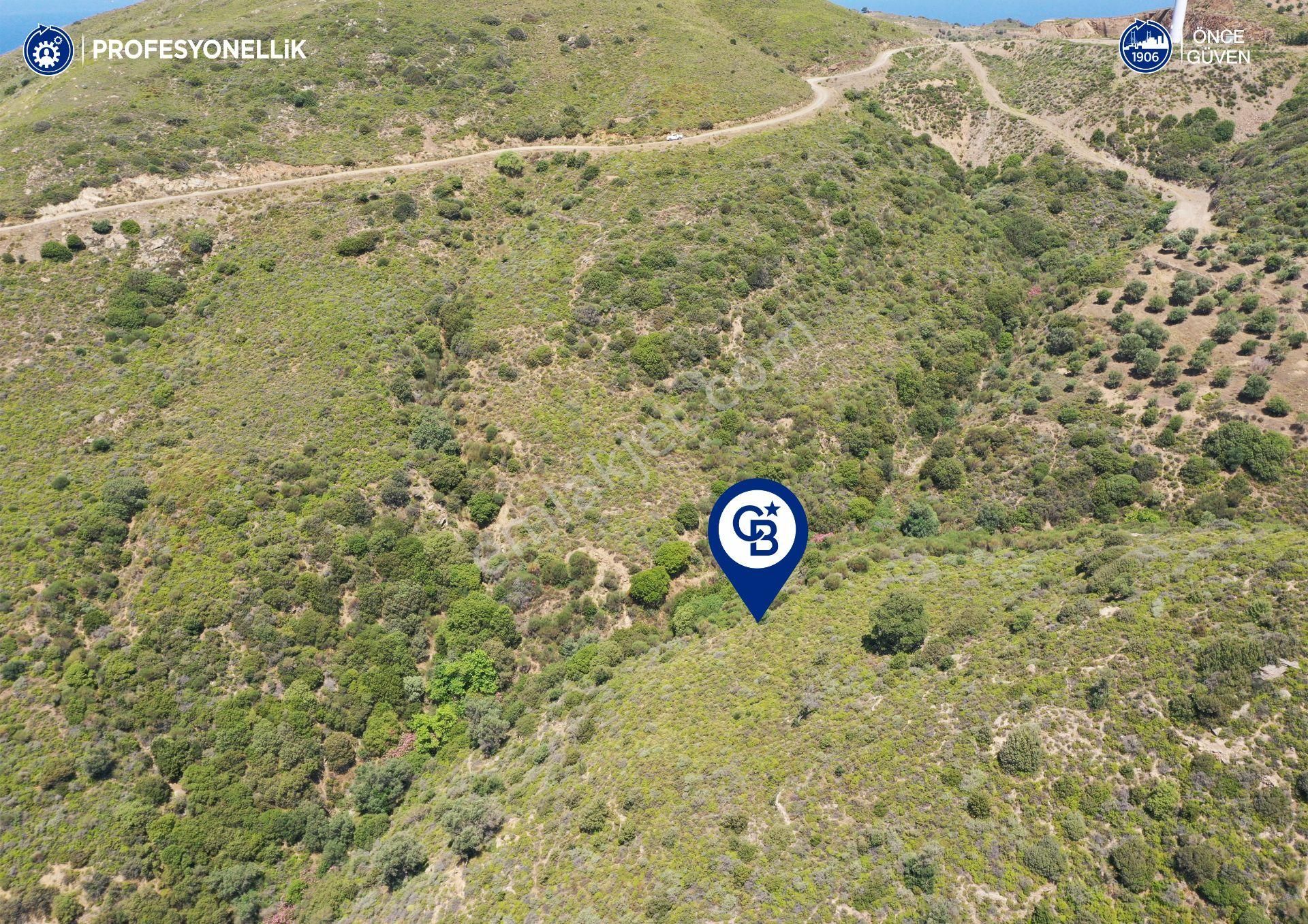 Karaburun Sarpıncık'ta 10.125 M² Tarla - Görsel 10