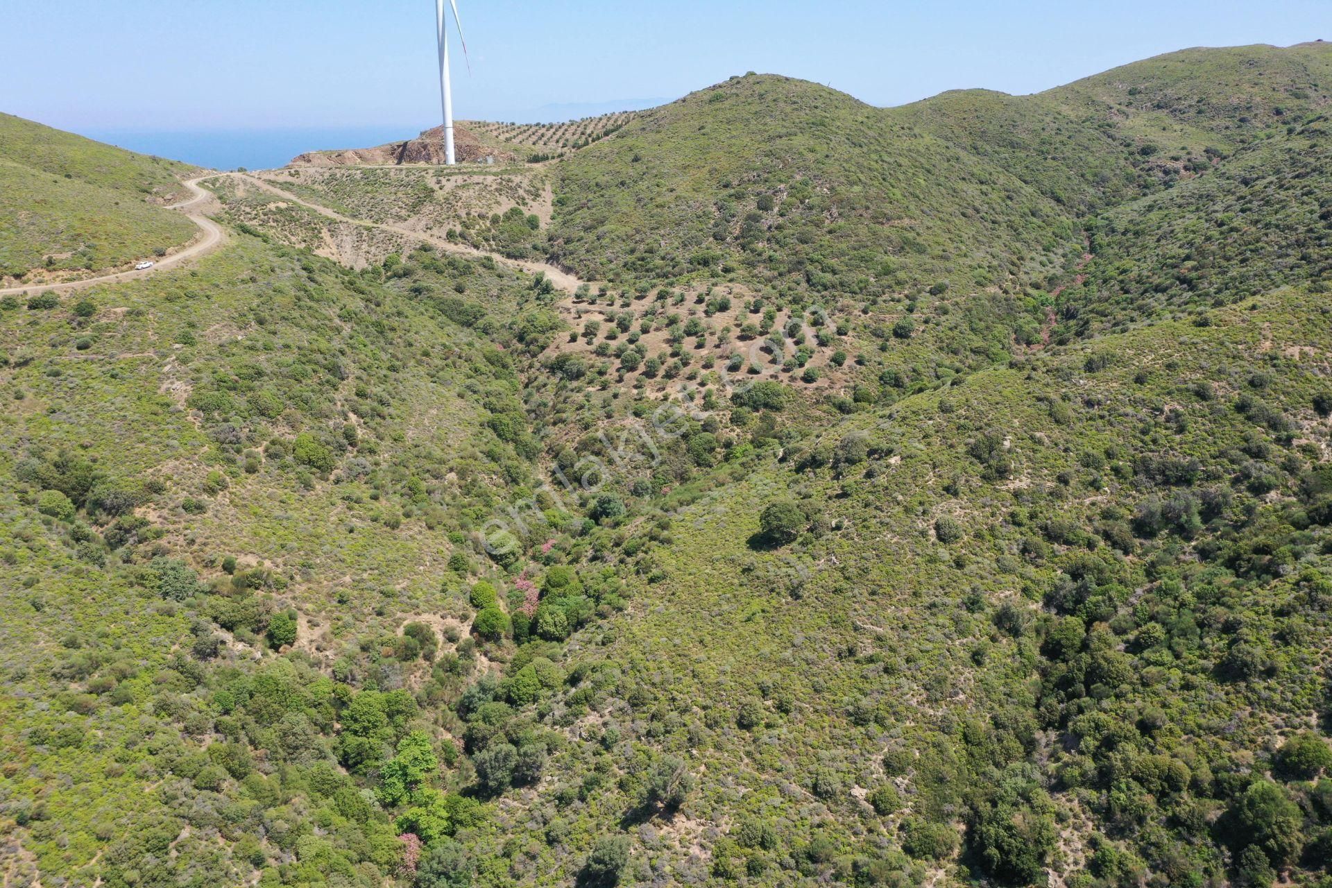 Karaburun Sarpıncık'ta 10.125 M² Tarla - Görsel 3