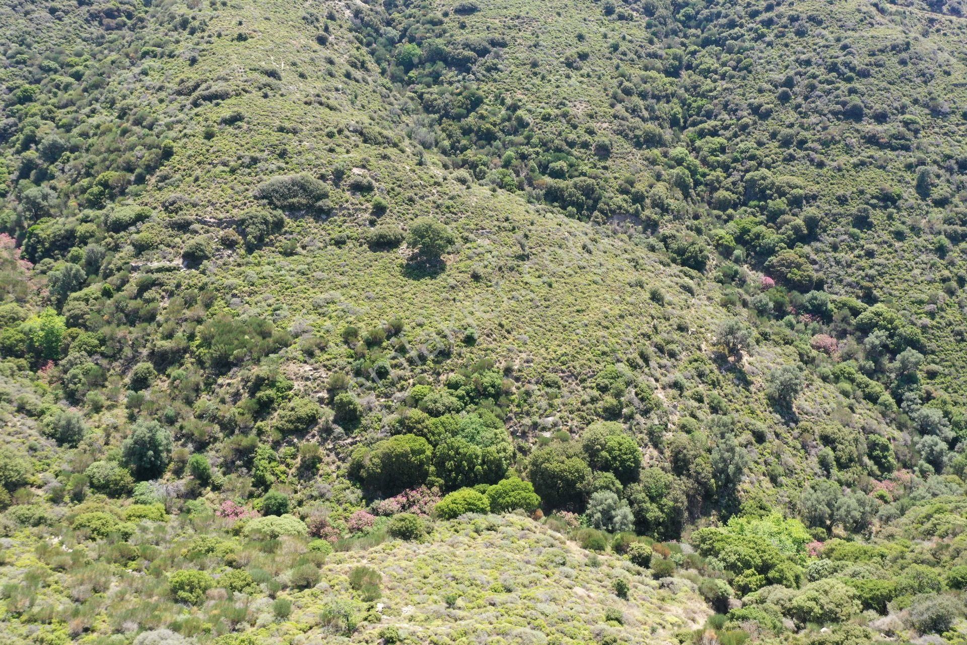 Karaburun Sarpıncık'ta 10.125 M² Tarla - Görsel 8