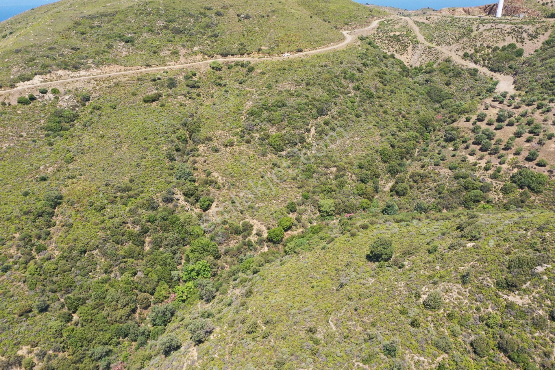 Karaburun Sarpıncık'ta 10.125 M² Tarla - Görsel 15