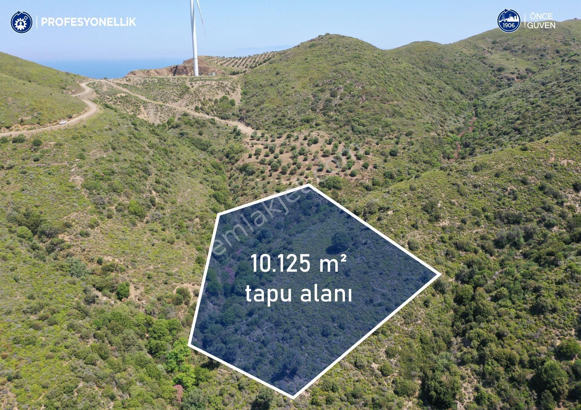 Karaburun Sarpıncık'ta 10.125 M² Tarla - Görsel 2